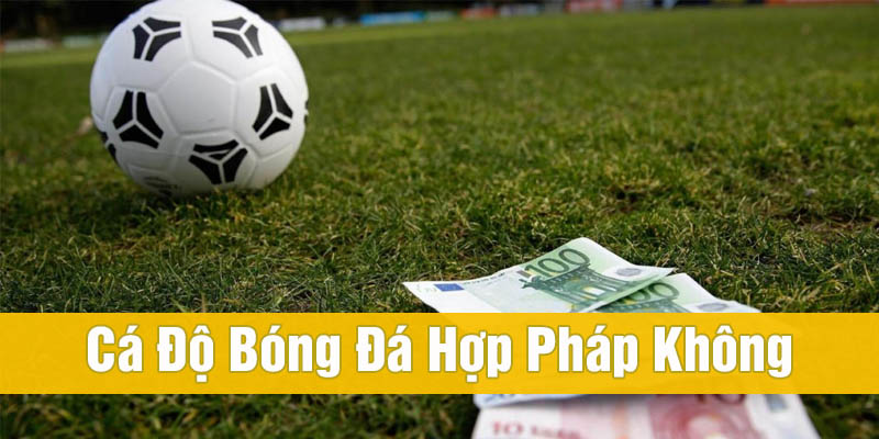 cá độ bóng đá hợp pháp không