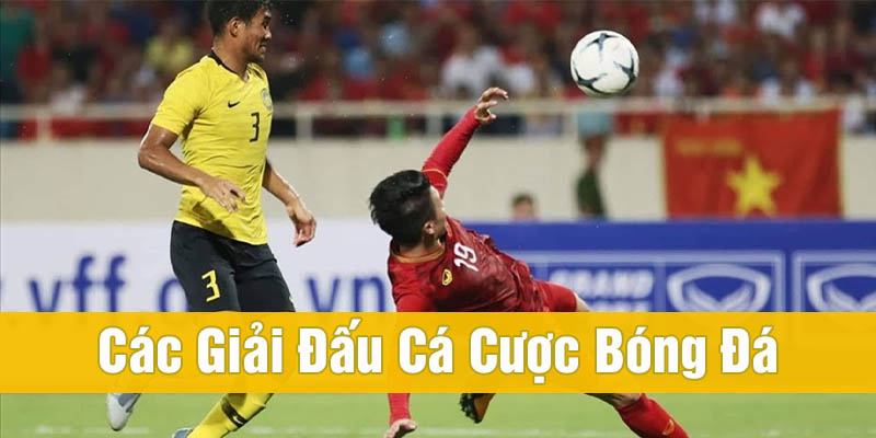 các giải đấu cá cược bóng đá