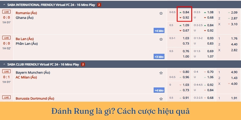 Kèo đánh rung là gì