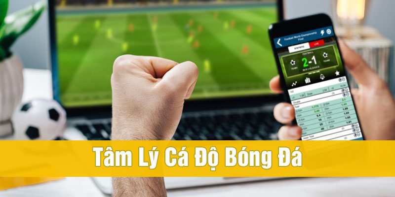 tâm lý cá độ bóng đá
