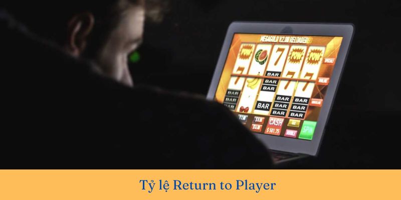Return to Player: Tỷ lệ hoàn trả cho người chơi cá độ