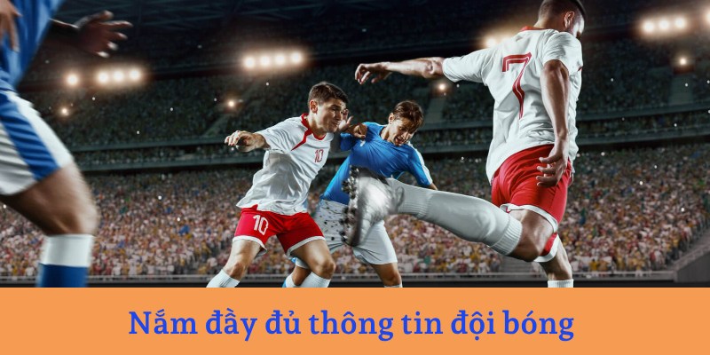 Nắm đầy đủ thông tin đội bóng khi tham gia đặt cược 