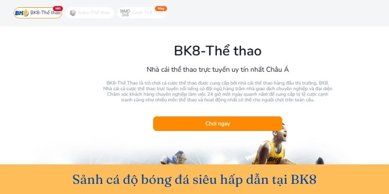 Sảnh thể thao BK8