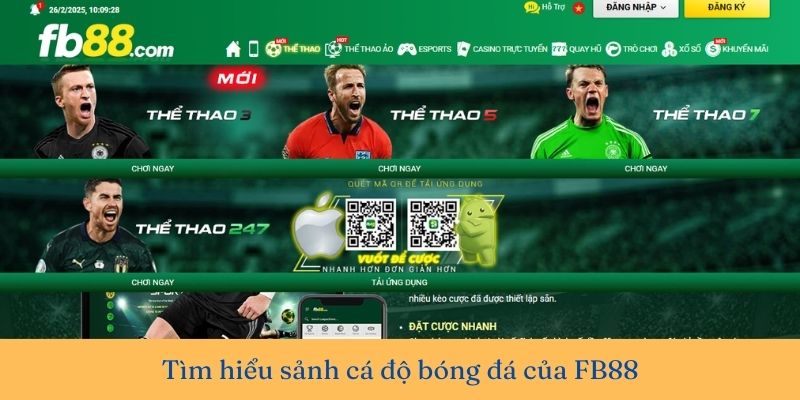 Sảnh thể thao Fb88