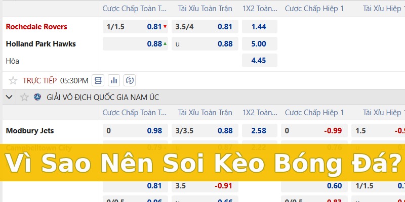 vì sao cần soi kèo 